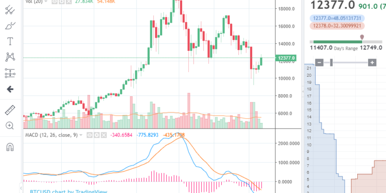 btc-mich13|bit graph|bit graph2