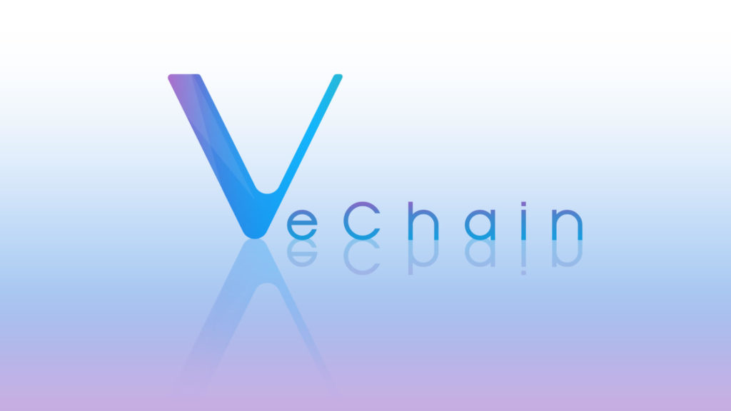 vechain foundation