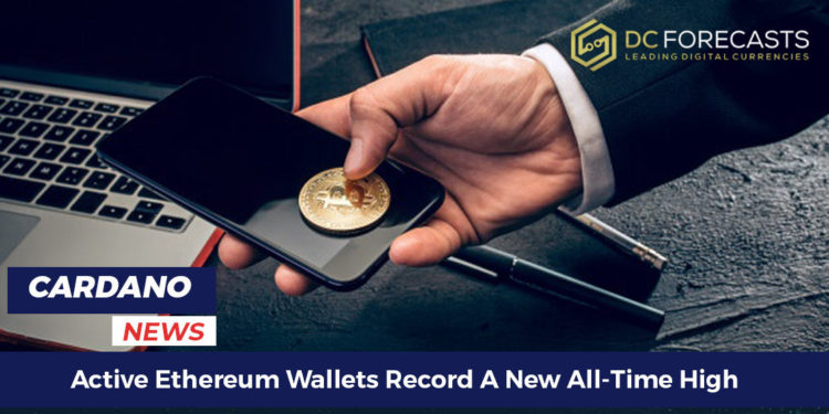 Active Ethereum Wallets