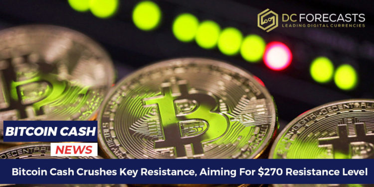 Bitcoin Cash crushes