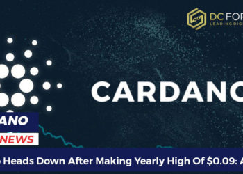 Cardano heads