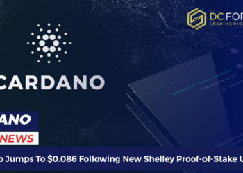 cardano jumps to
