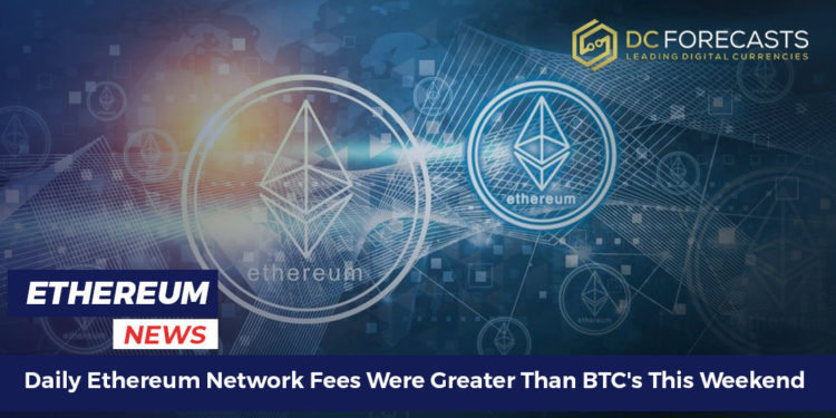 daily ethereum network fees