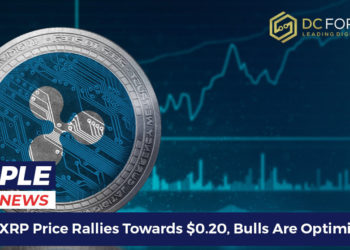 ripple xrp price rallies
