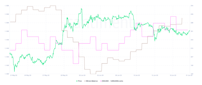 ethereum whales eth holdings