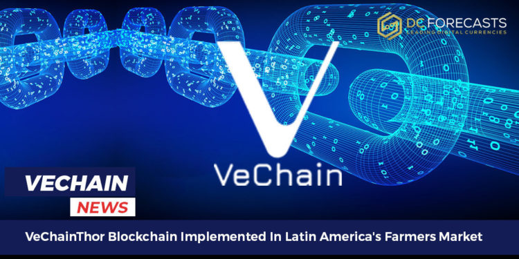 vechainthor