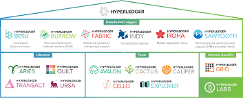 hyperledger blockchain projects cardano global business iohk