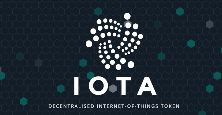 iota developer launched, tangle, patient