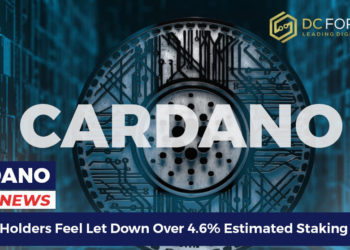 cardano holders feel