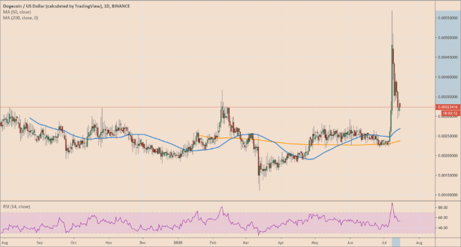 dogecoin rally