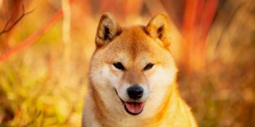 DOGE Shed 7%, DOGE Saw Price Surges, dogecoin, elon musk, twitterCrypto.com Removed DOGE, shib, DOGE’s Price Could Soar , dogecoin, market,