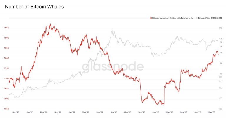 number of bitcoin whales glassnode