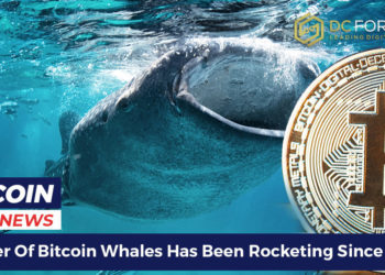 Tether Just Crossed $10B, Leaving Other Stablecoins In The Dust