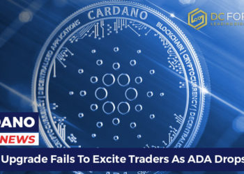 Shelley upgrade fails