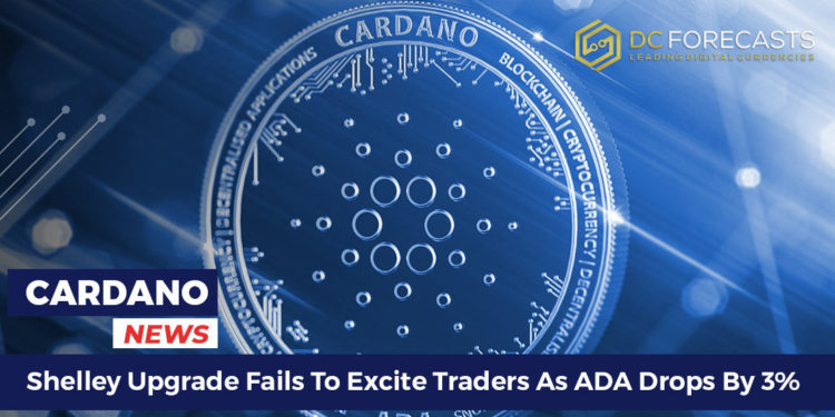 Shelley upgrade fails