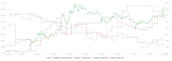 chainlink holder distribution