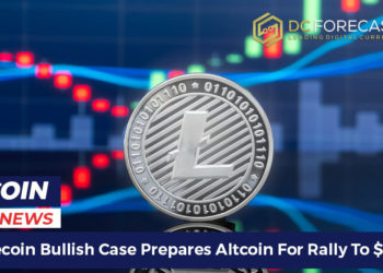 litecoin bullish case
