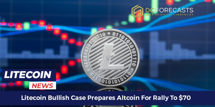 litecoin bullish case