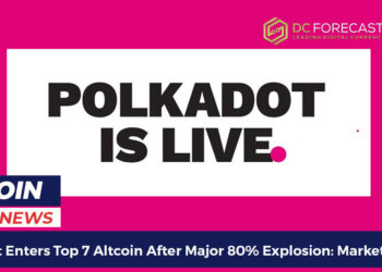 polkadot enters