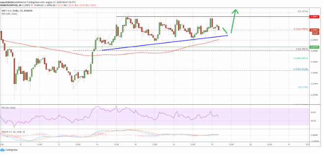 xrp price