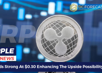 xrp holds strong