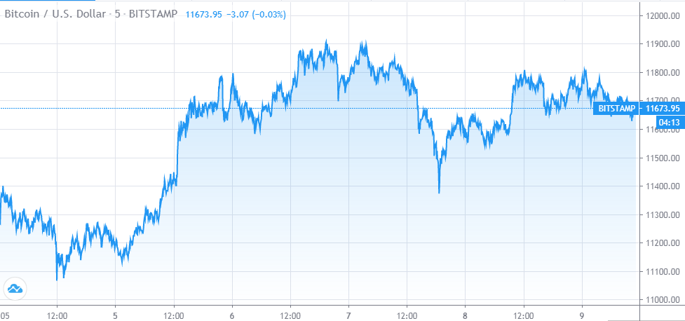 bitcoin price