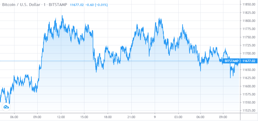 btc one day chart