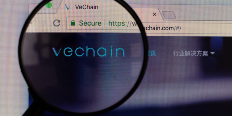 VeChain Foundation Reports , war chest, vet, valuation