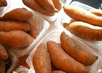 yam finance rebased, price,