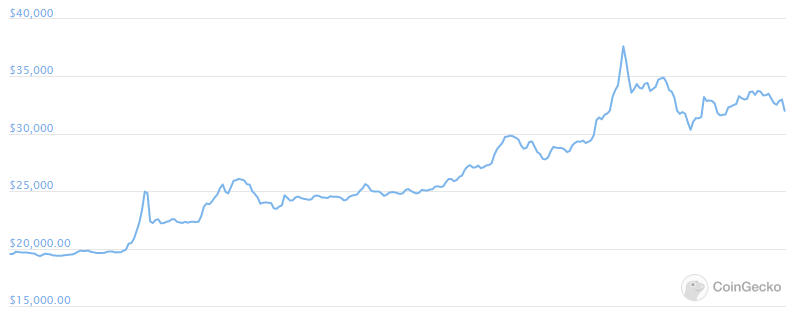 yfi daily price