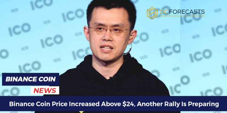 binance coin price increased