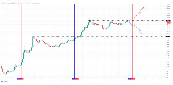 btc elections 