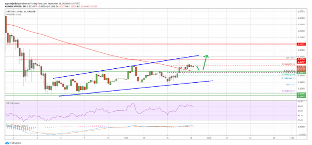 xrp price