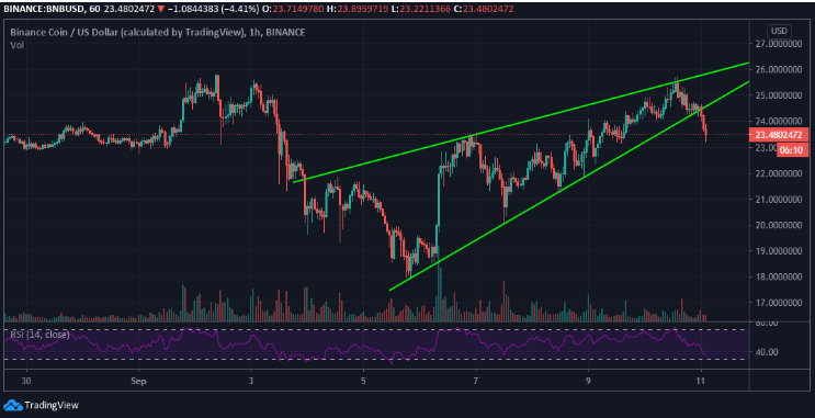 BNB/usd