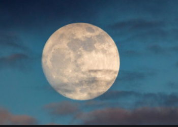 Reddit’s MOON Cryptocurrency Gets Real-World Value