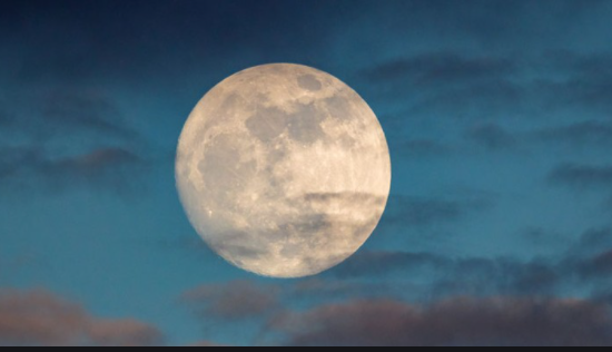 Reddit’s MOON Cryptocurrency Gets Real-World Value