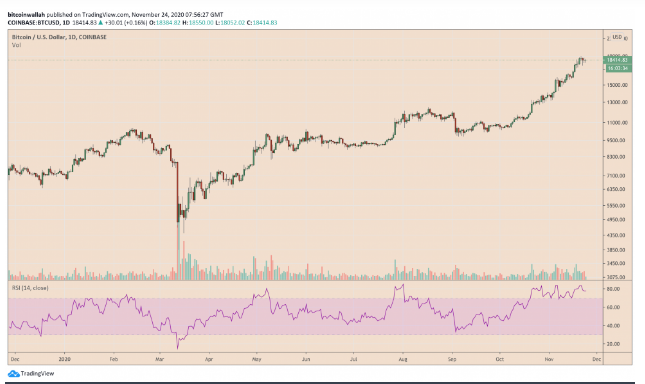 btc rallies