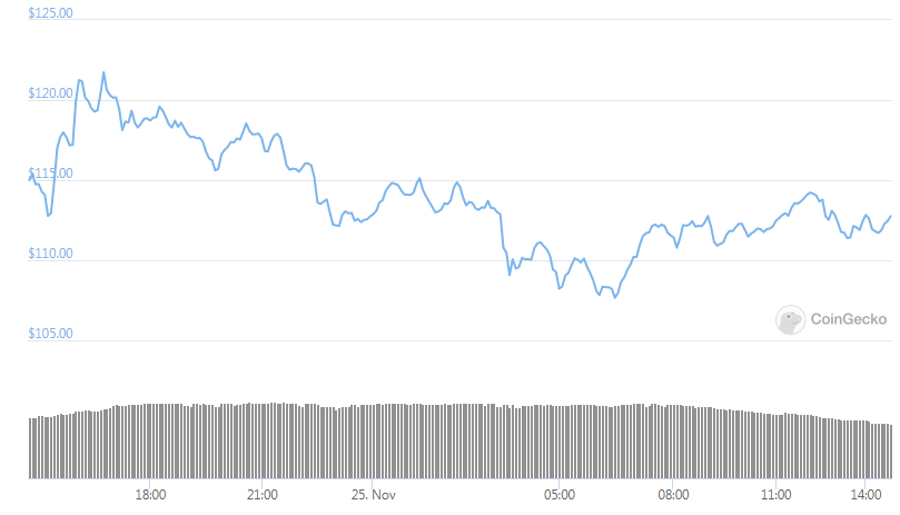 dash daily