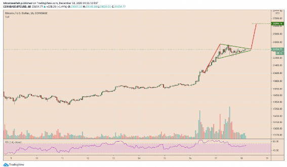 btc bull