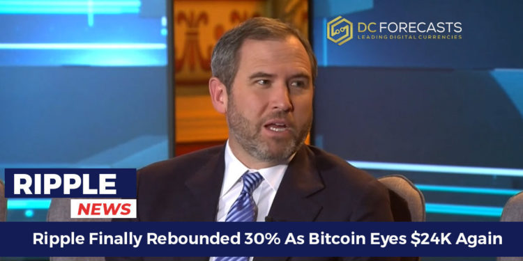 ripple finally rebounded