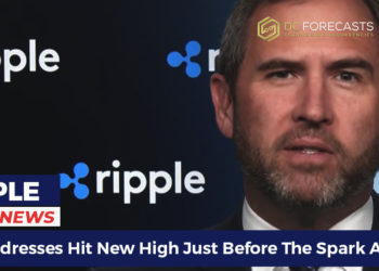 XRP addresses hit new