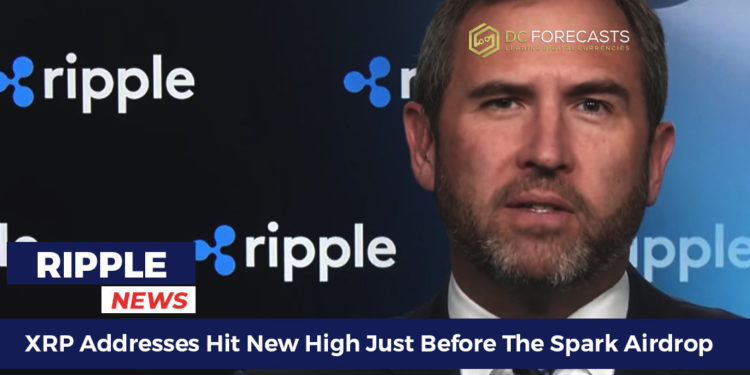 XRP addresses hit new