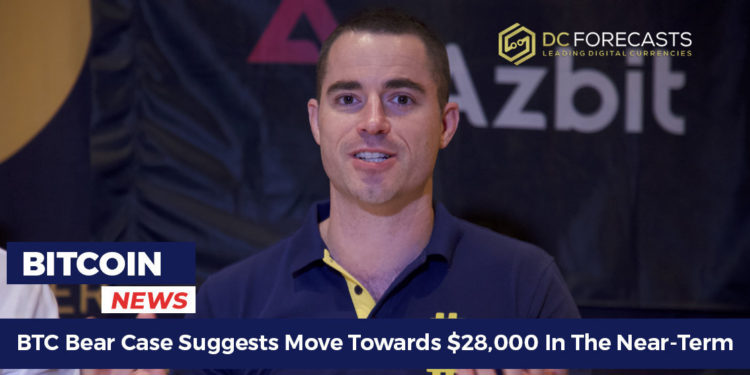 btc bears case