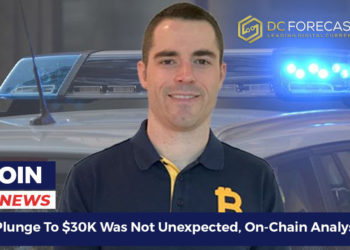 bitcoin's plunge to $30K