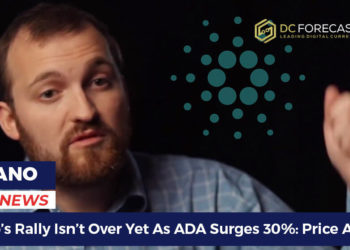 cardano's rally isn't over
