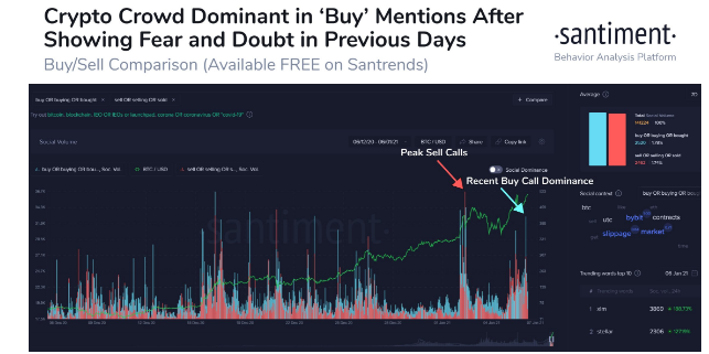 crypto crowds