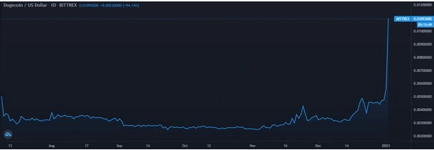 dogeusd