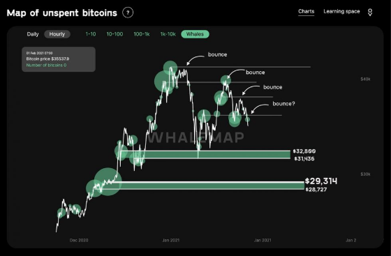 whalemap