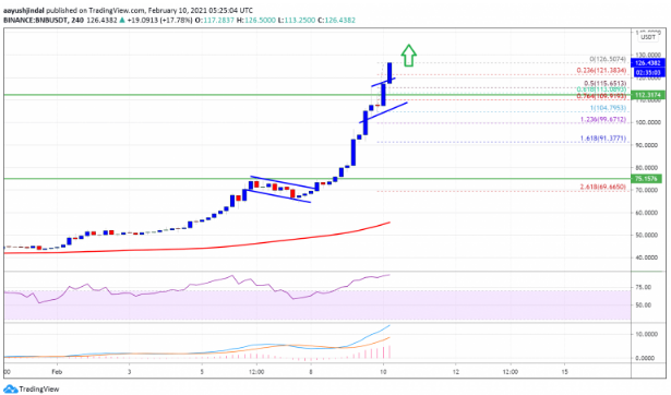 bnb daily