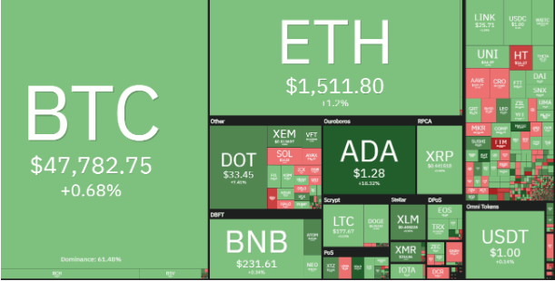 cardano top 3